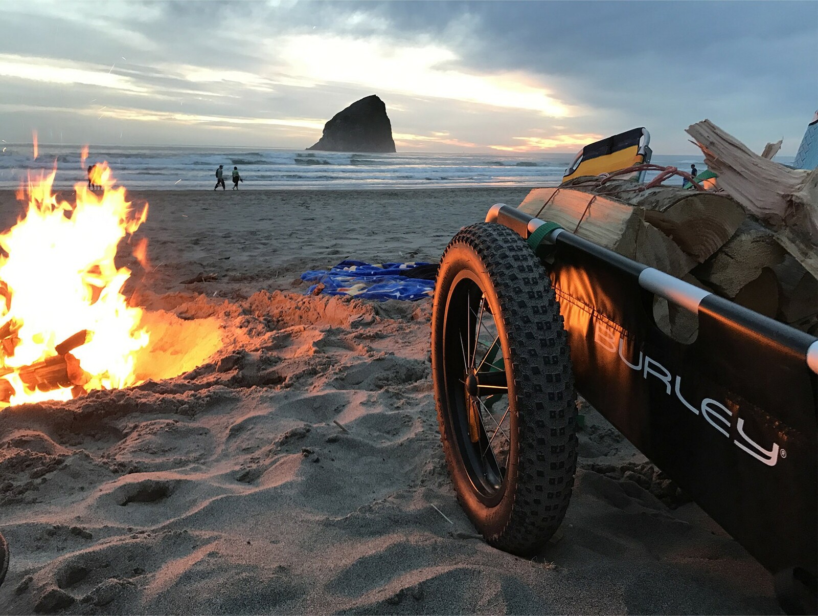 Burley Bike Bicycle Flatbed Cargo Trailer