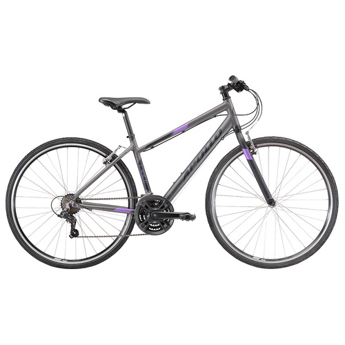 Apollo Trace 10 WS Matte Charcoal / Black / Lavender