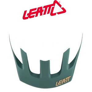 Visor All Mtn 1.0 Ivy - Large