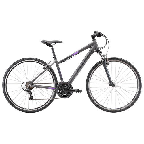 Apollo Transfer 10 WS Matte Charcoal / Black / Lavender Sml