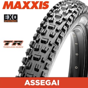 Maxxis Tyre AGGRESSOR 26 X 2.30 EXO TR