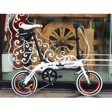 Hachiko 14" Folding Bike
