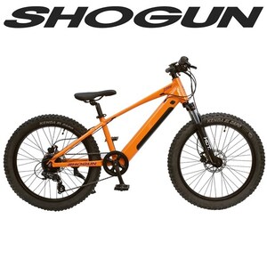 eBike - Zippy 24" MTB  