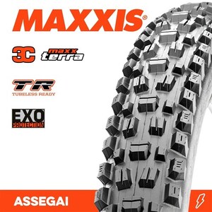 ASSEGAI 29 X 2.60 3C TERRA EXO TR FOLD 60TPI E-25